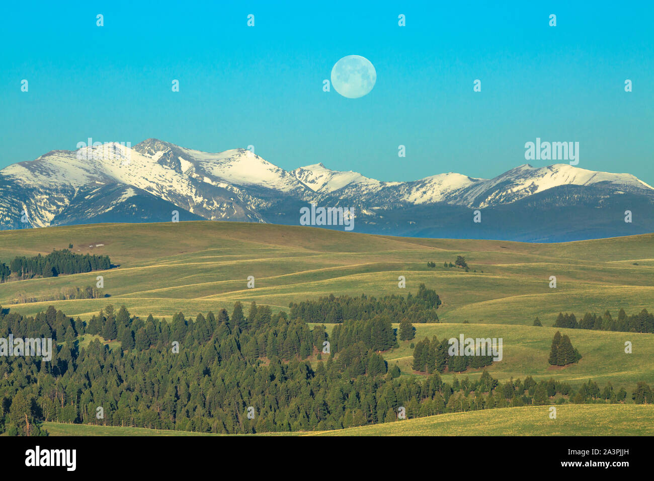 Vollmond-Einstellung über den Feuerstein Creek Range und Ausläufern des oberen gefleckte Hund Creek Basin in der Nähe von Avon, montana Stockfoto