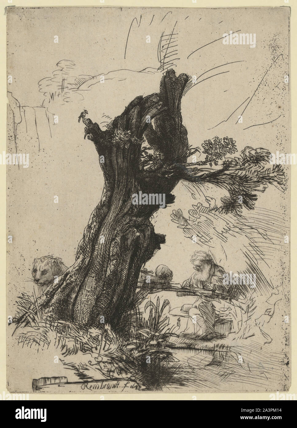 St. Jerome neben einem pollard Willow] / Rembrandt Stockfoto