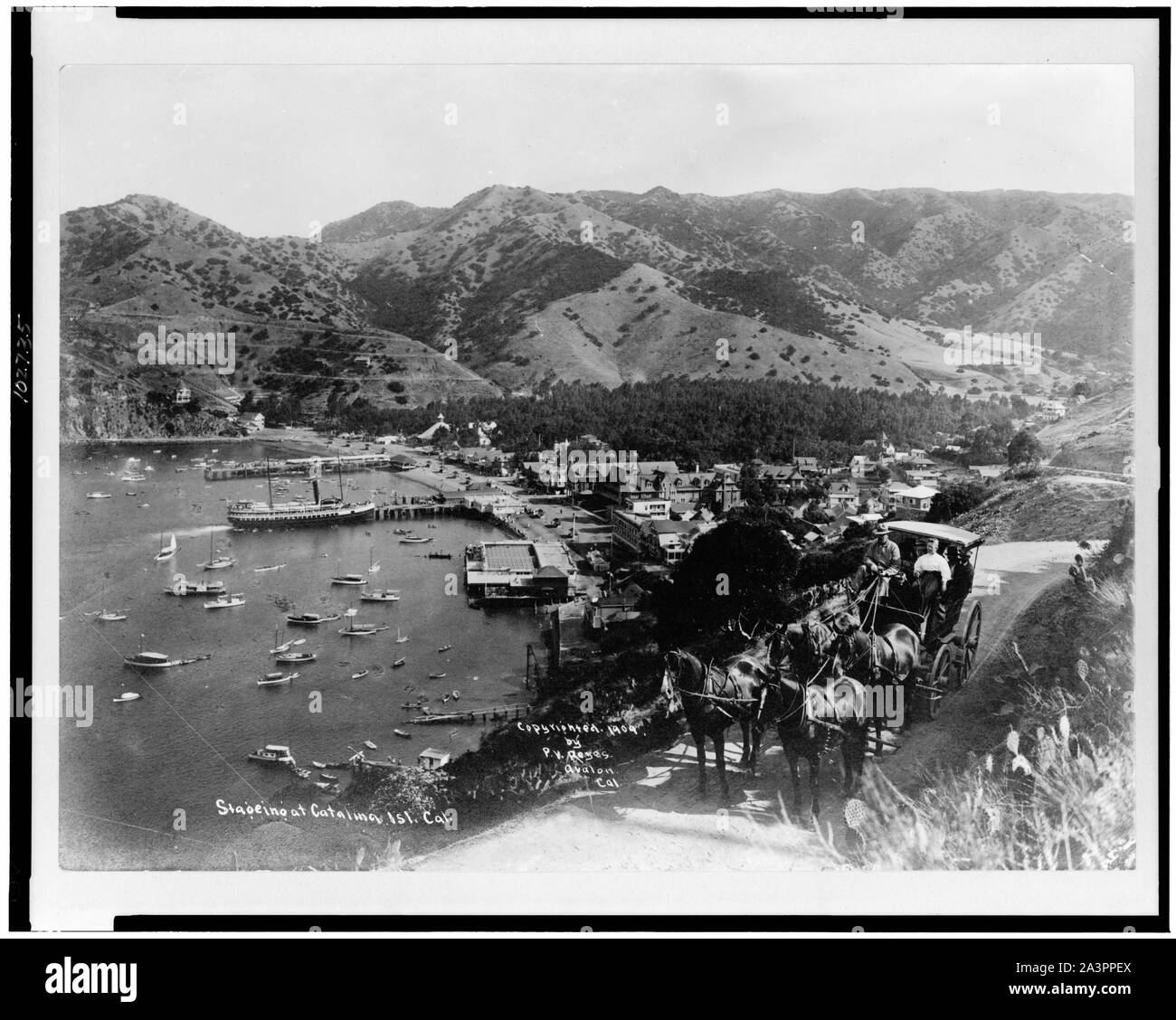 Staging bei Catalina Isl., Cal. Stockfoto