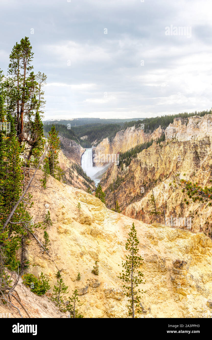 Lower Falls und Grand Canyon im Yellowstone, von Künstler zeigen. Der Canyon ist 20 Meilen lang, über 1.000 Meter tief und bis zu 4.000 Meter breit. Stockfoto