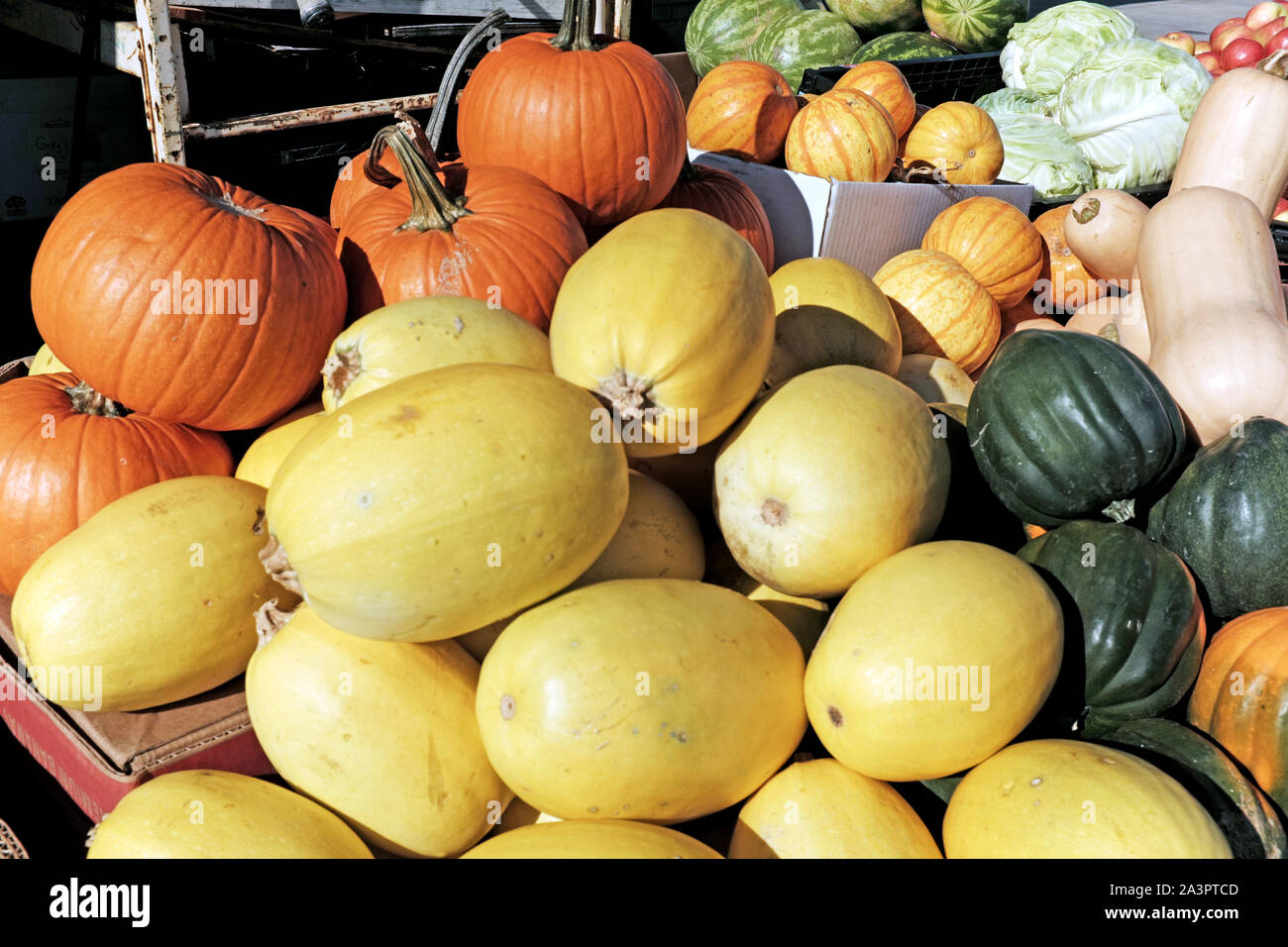 Verschiedene Arten von Squash, einschließlich Kürbis, sind hohe außerhalb der Westseite Markt in Ohio Stadt in Cleveland, Ohio, USA im Herbst aufgetürmt. Stockfoto