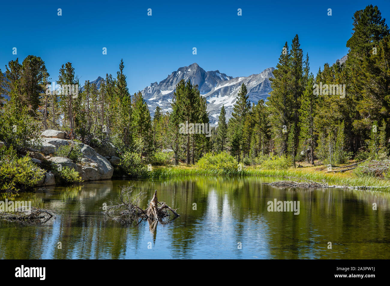 Bergsee in der östlichen Sierra Nevada, Kalifornien; USA Stockfoto