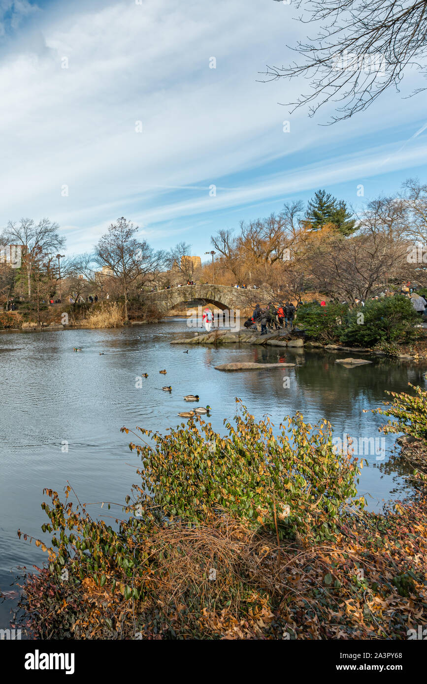 New York City, NY, USA - 25. Dezember, 2018 - Schöne kalte sonniger Tag im Central Park See mit Enten in der Nähe von Gapstow Brücke, Manhattan. Stockfoto