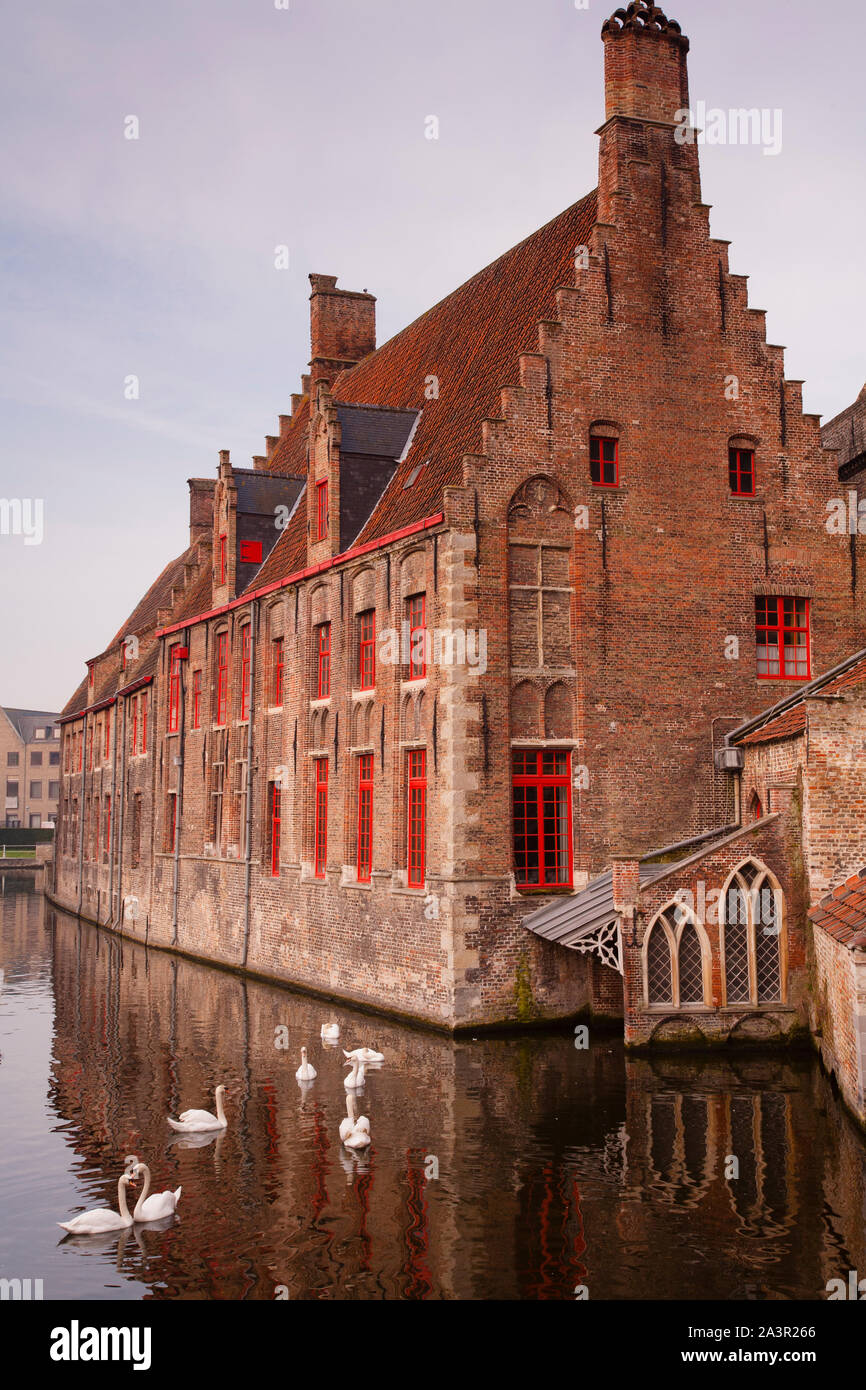 Historische Gebäude, Kanal, Schwäne, Brügge, Belgien Stockfoto