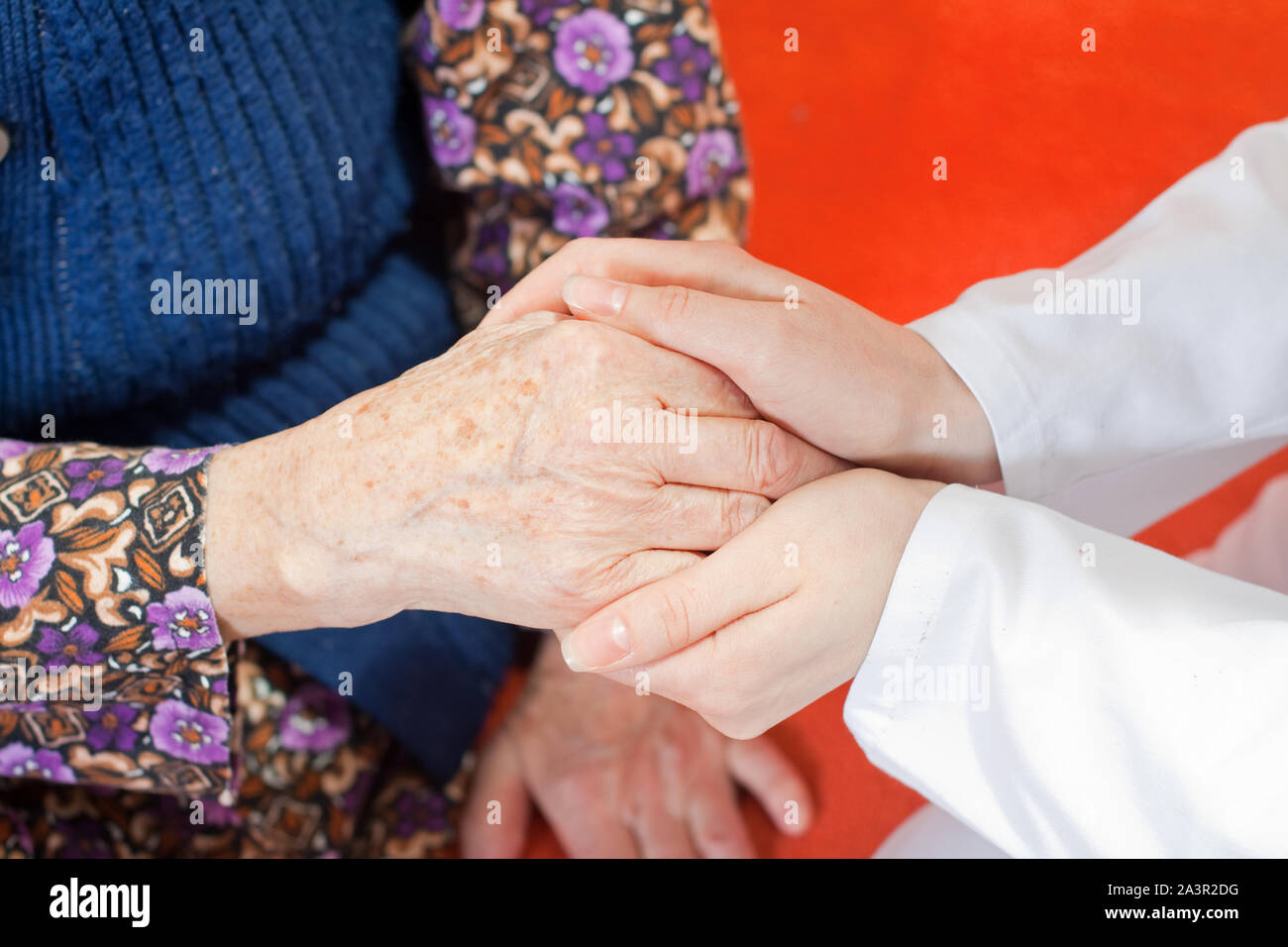 Junger Arzt hält die Hand der alten Frau Stockfoto