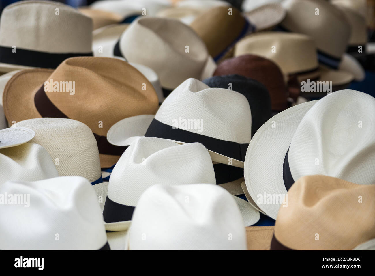 Panamahüte Stockfoto