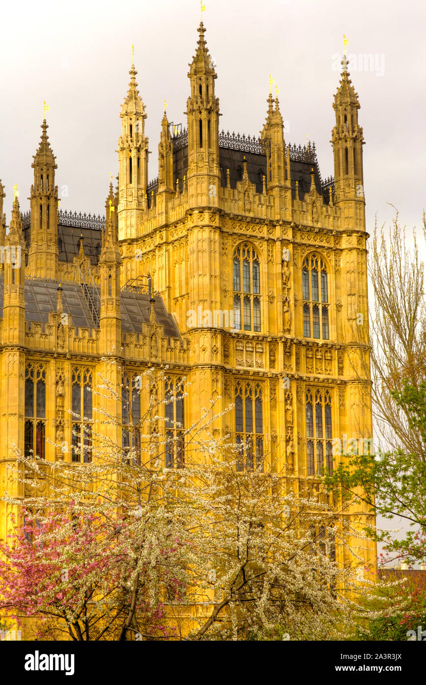 Häuser des Parlaments, London, England, UK Stockfoto