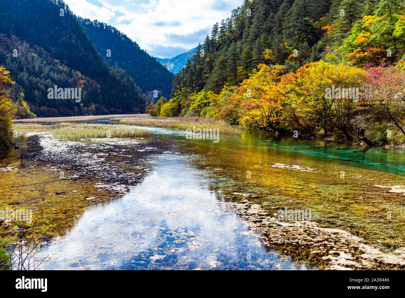 Bunte idyllische Natur Stockfoto