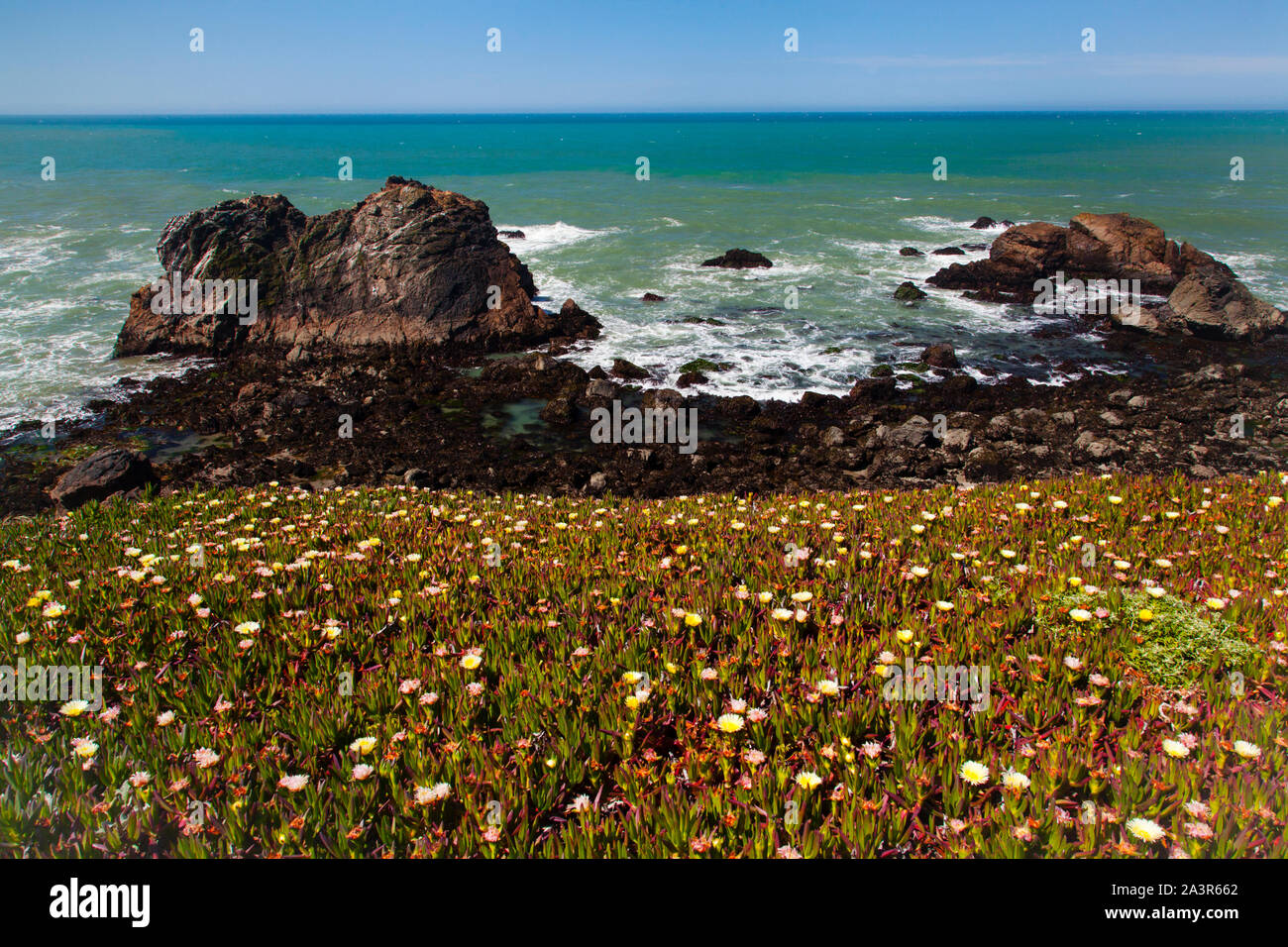 Sonoma Coast State Park Stockfoto