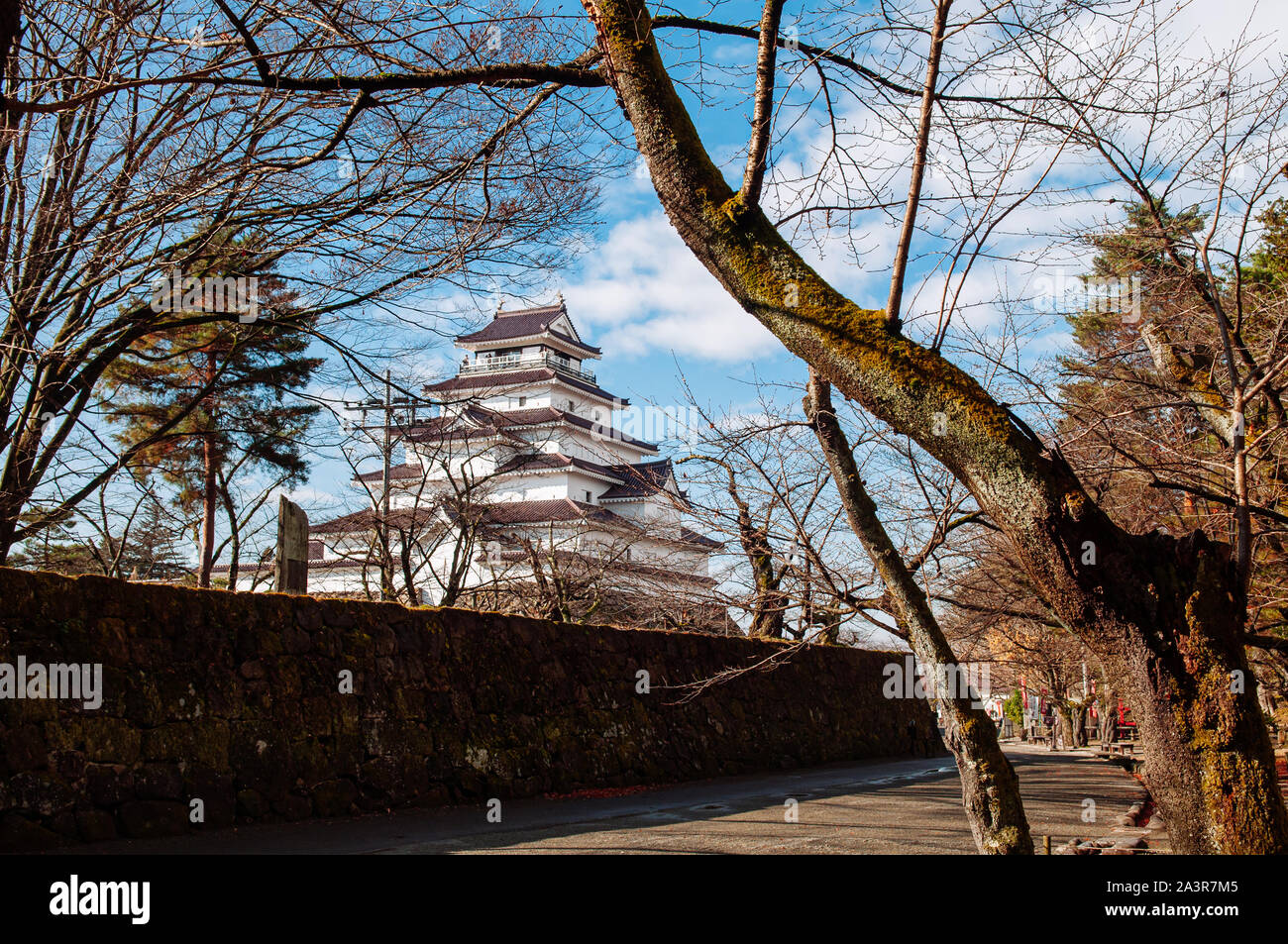 DEC 4, 2018 Aizu Wakamatsu, Japan - Aizu Wakamatsu Tsuruga Schloss und Mauer unter dem großen Baum im Winter blauer Himmel. Fukushima Samurai Herr fortess in Stockfoto