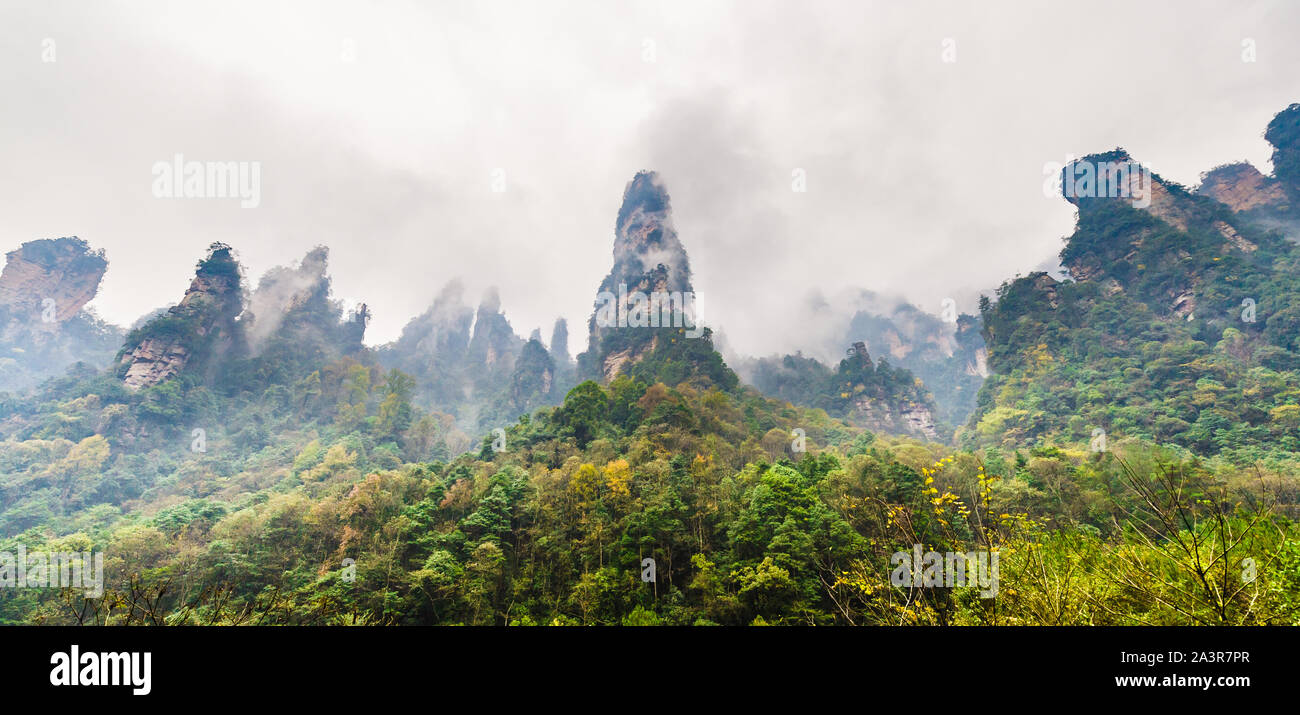 Surreal und misty Blick auf Einzigartige Felsformation in Hunan, China. Stockfoto