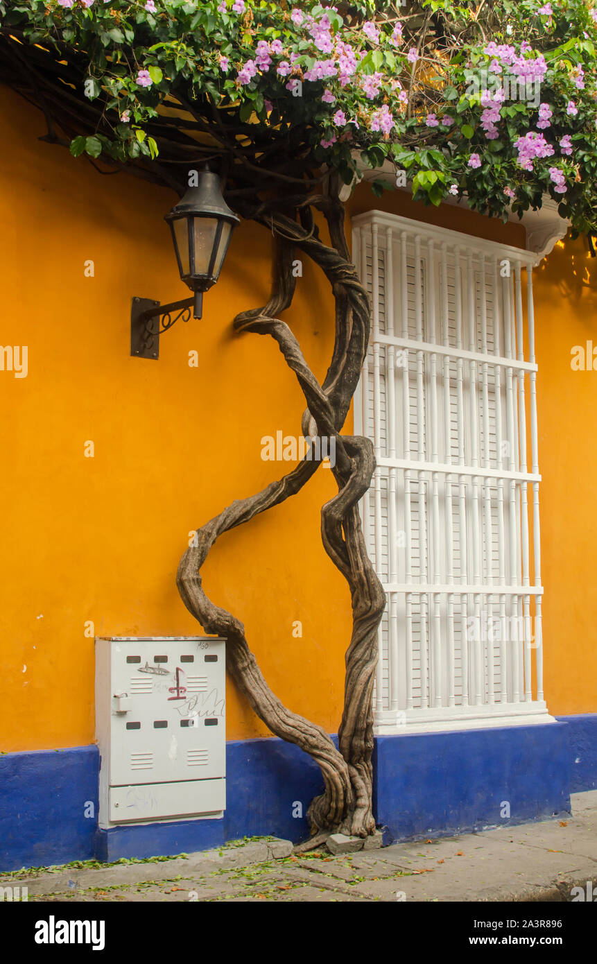 Bunte Türen der ummauerten Stadt in Cartagena de Indias Stockfoto