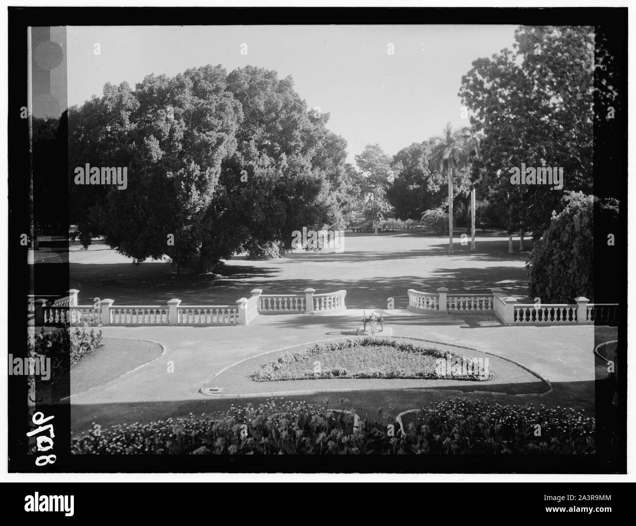 Sudan. Khartum. Mit Blick auf die Gärten des Palastes von der hinteren Terrasse Stockfoto