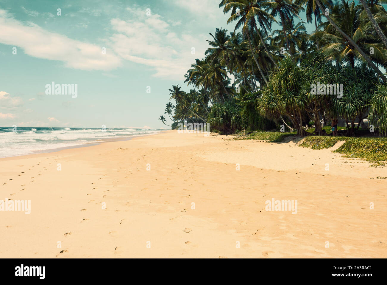 Tropischer Strand mit Palmen. Getonten Bild Stockfoto