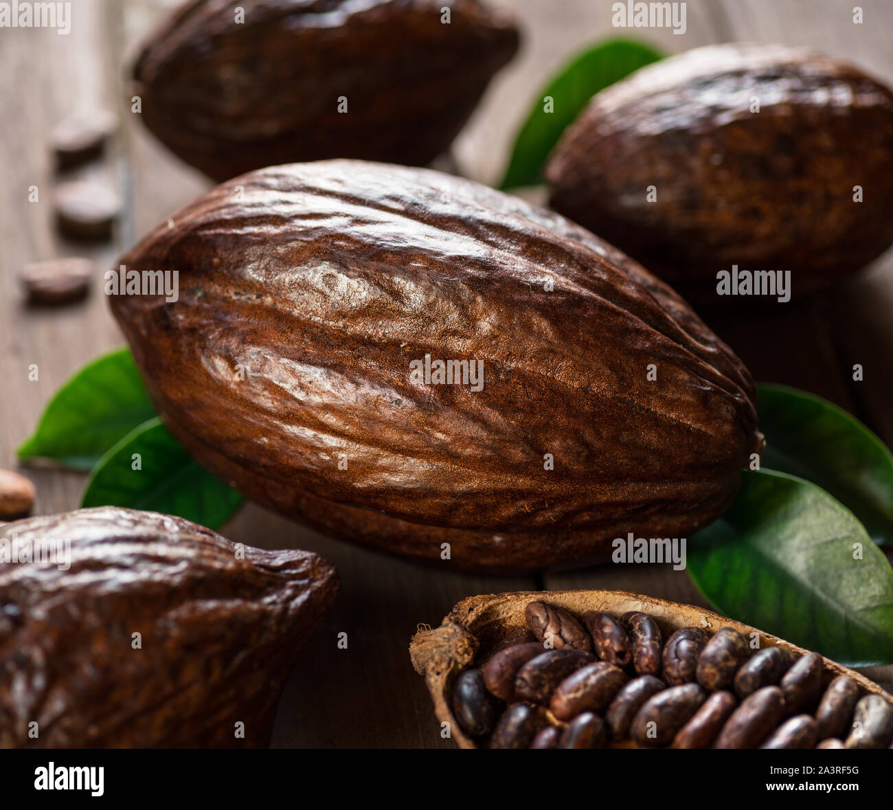 Kakaofrüchte und Kakao Bohnen auf dem Holztisch. Stockfoto