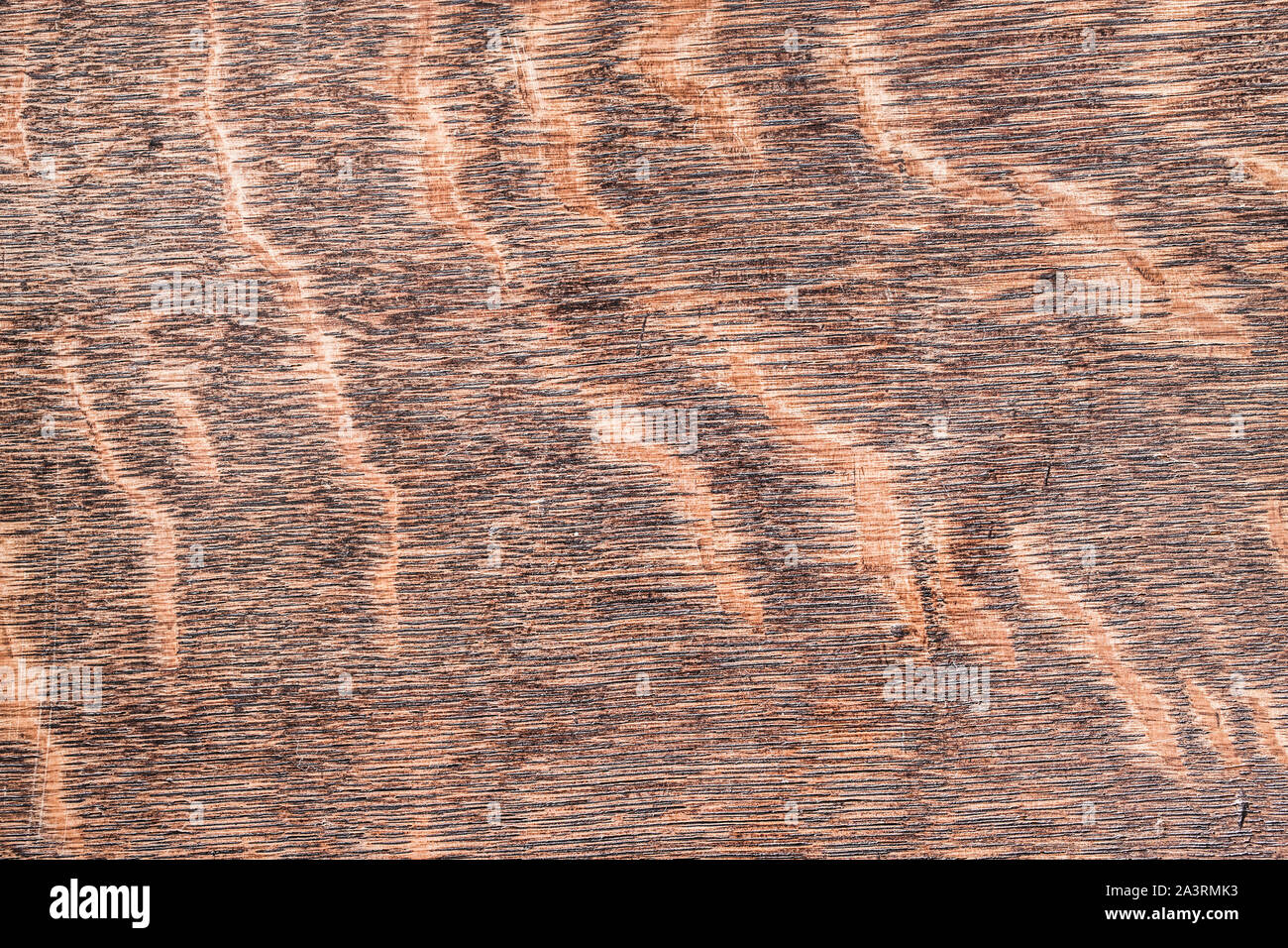 Foto von einem Medium dark Wood texture. Stockfoto