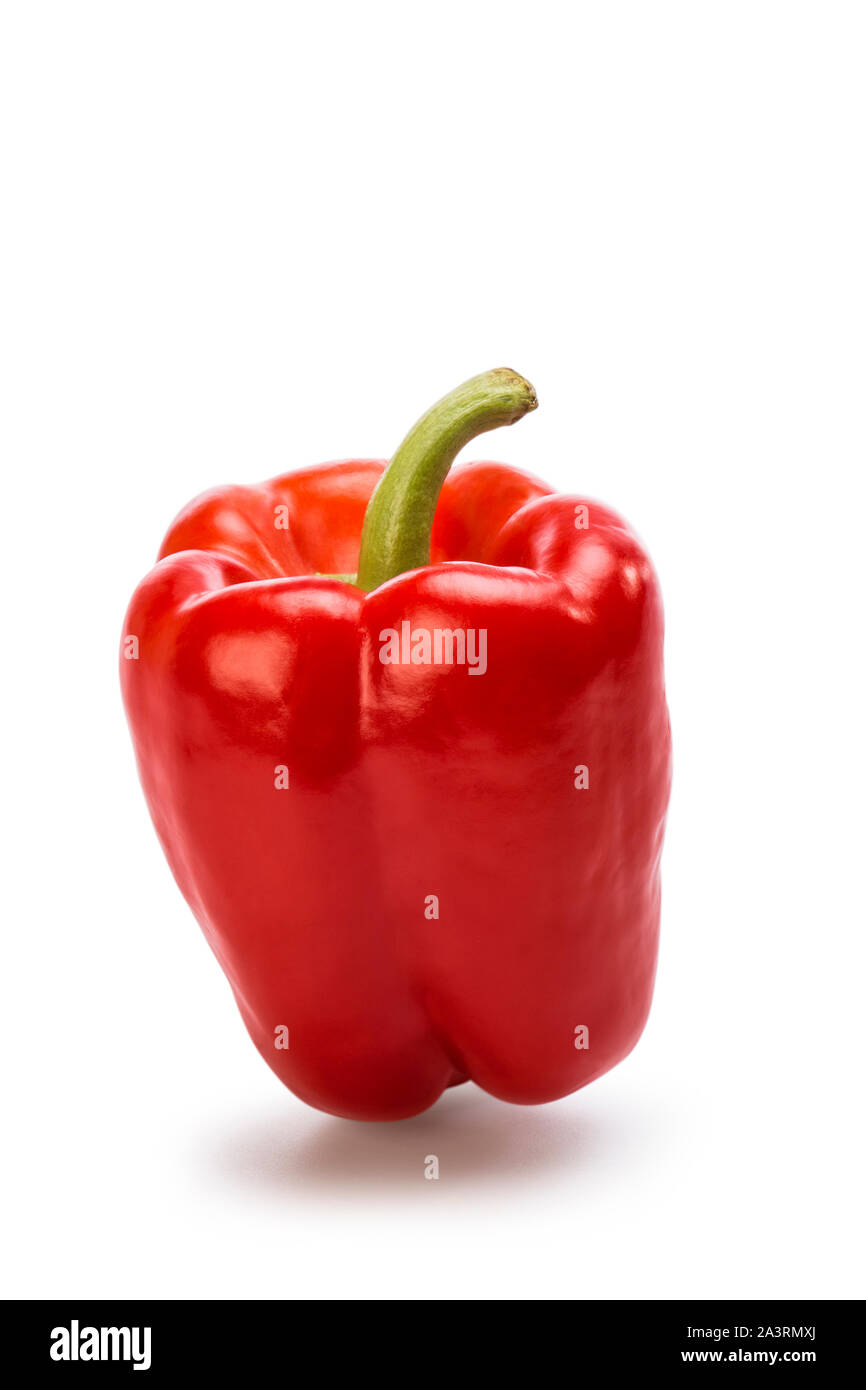 Große rote Paprika auf weißem Hintergrund. Stockfoto