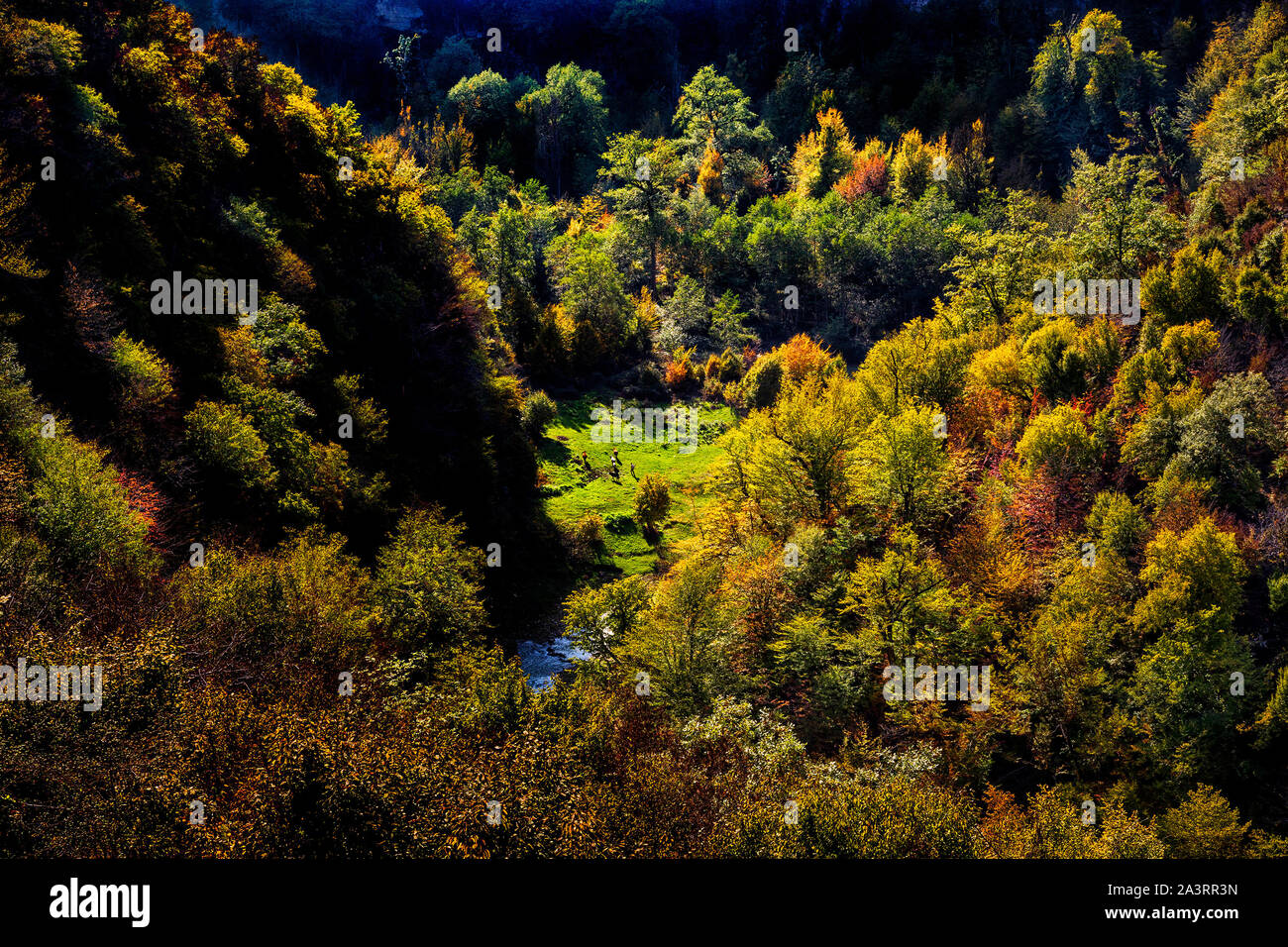 Herbst in Chenarbon Stockfoto