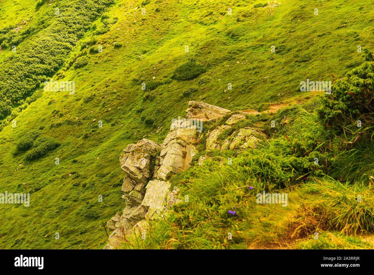 Climbing Mount Howerla in den Karpaten, in der Ukraine. Natürliche Hintergrund. Die geschützte Natur Konzept Stockfoto