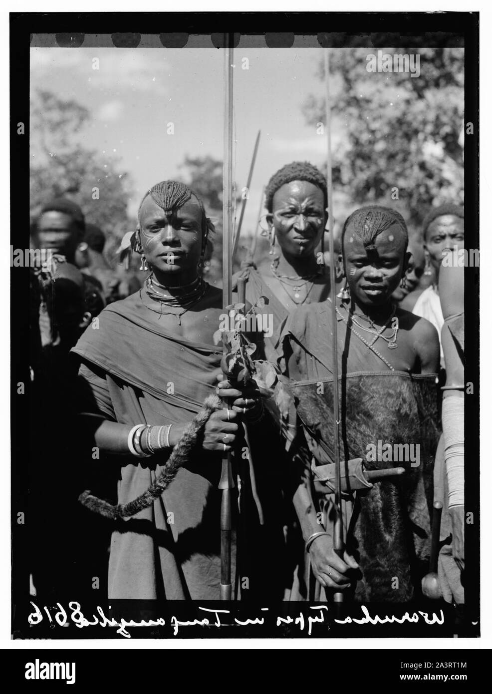 Tanganyika. Arusha. Masai Krieger mit ihren glänzenden Spears bei der Hochzeit. Drei Viertel zahlen Stockfoto