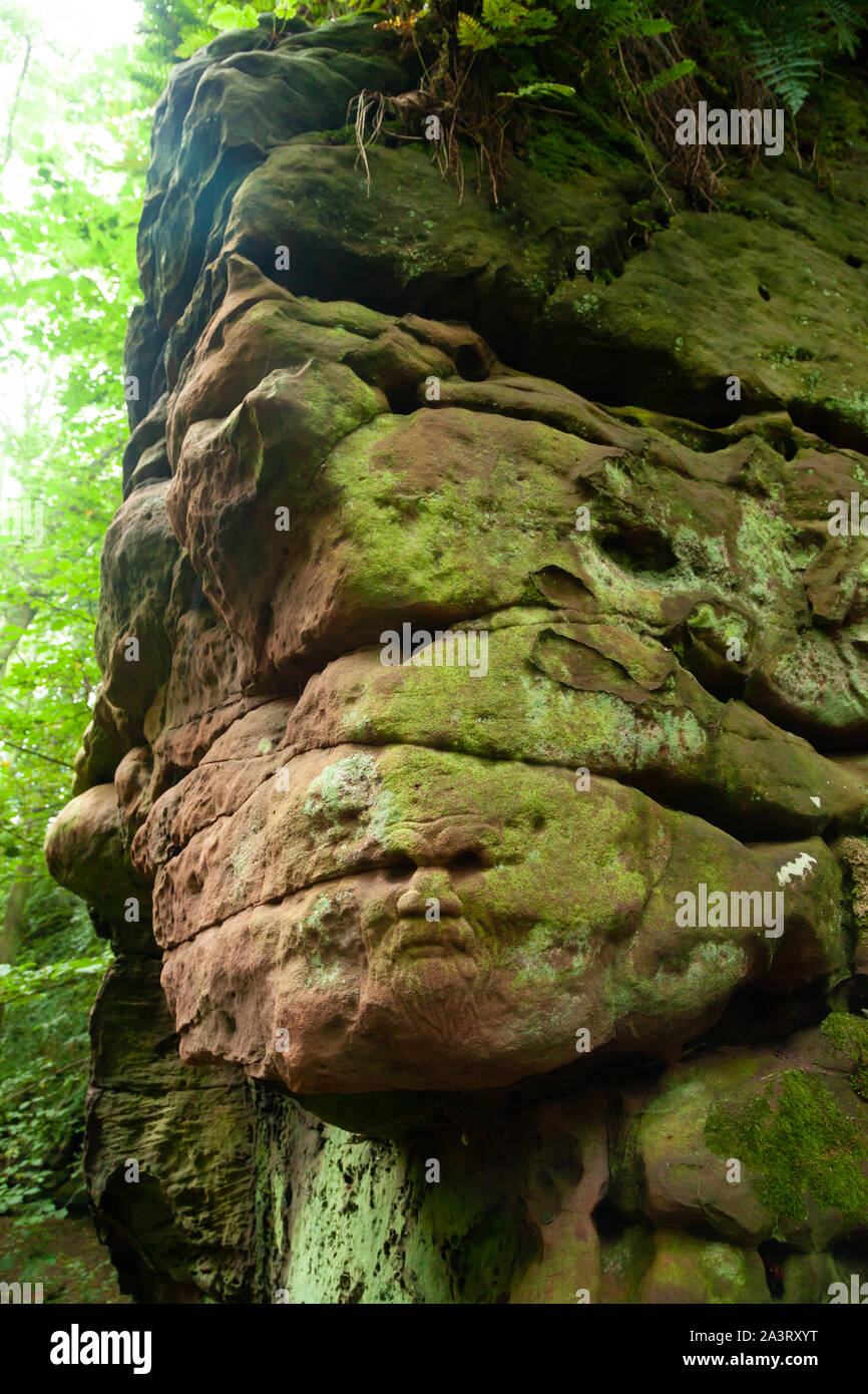 Geschnitzte Gesicht eines Mannes in Stein, Dunino Höhle, Dunino, St. Andrews, Fife, Schottland Stockfoto