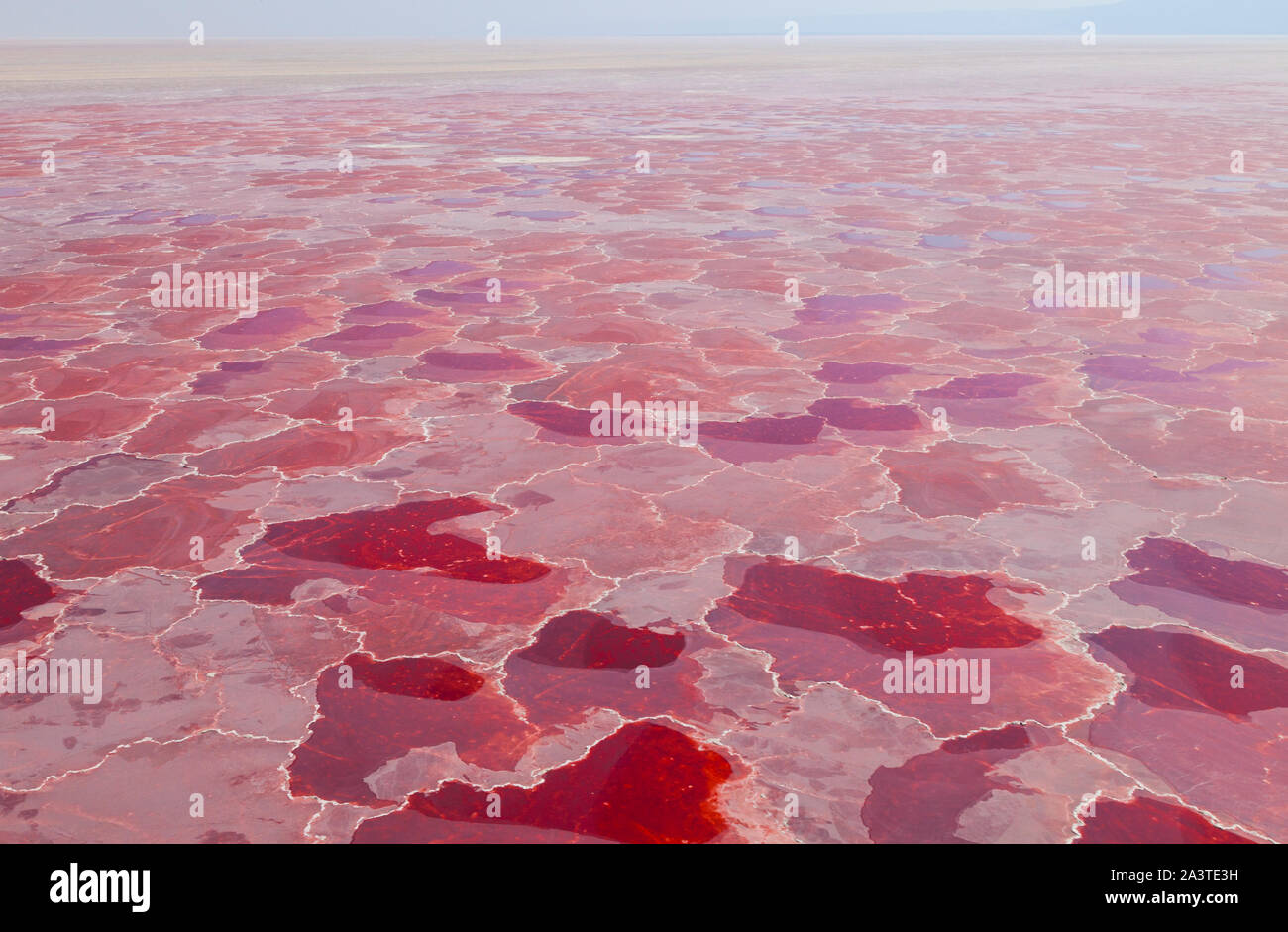 Natron see Fotos und Bildmaterial in hoher Auflösung Alamy