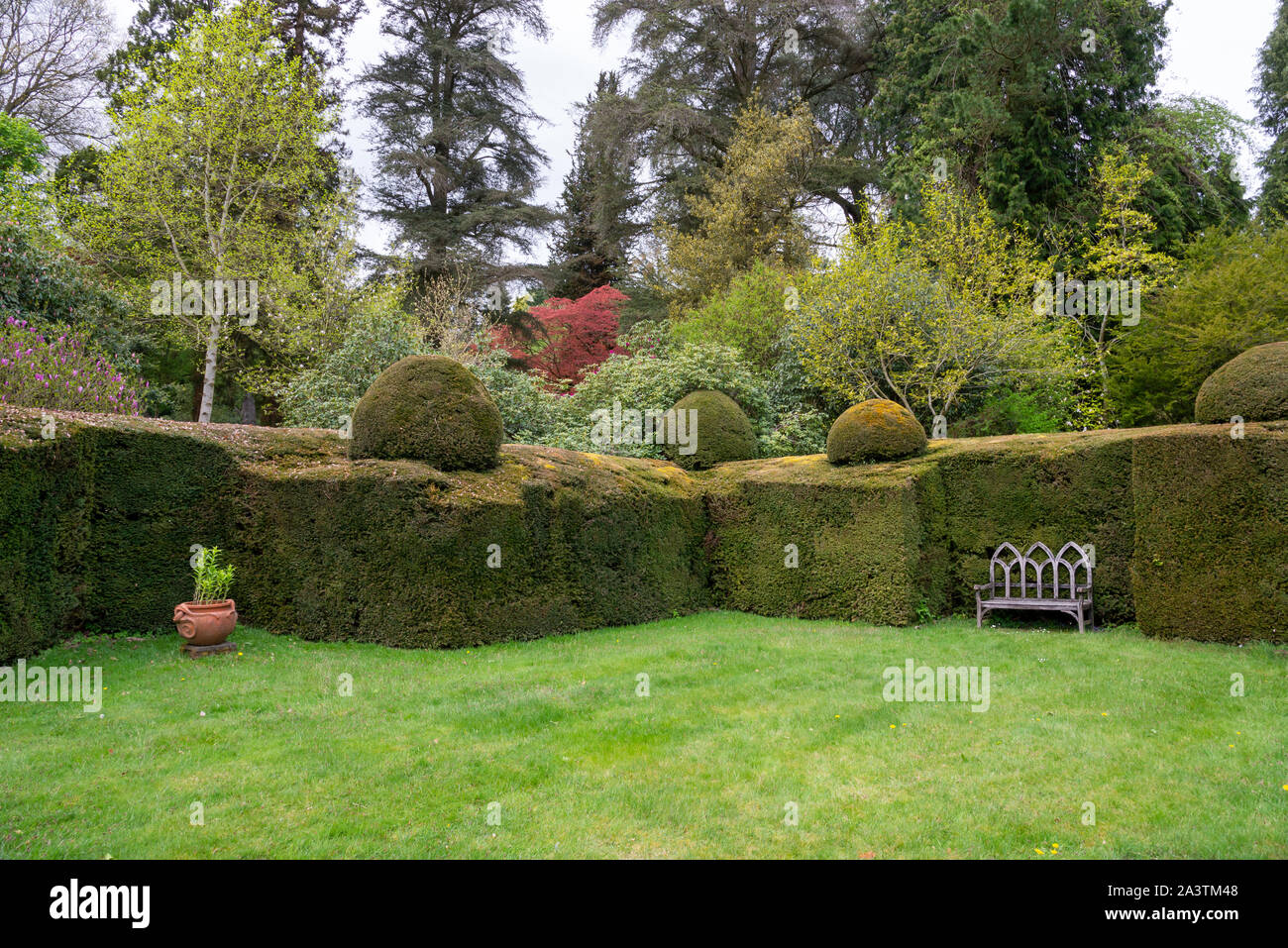 Ein Frühlingstag an Hergest Croft Gardens in der Nähe von Kington in Herefordshire, England. Stockfoto