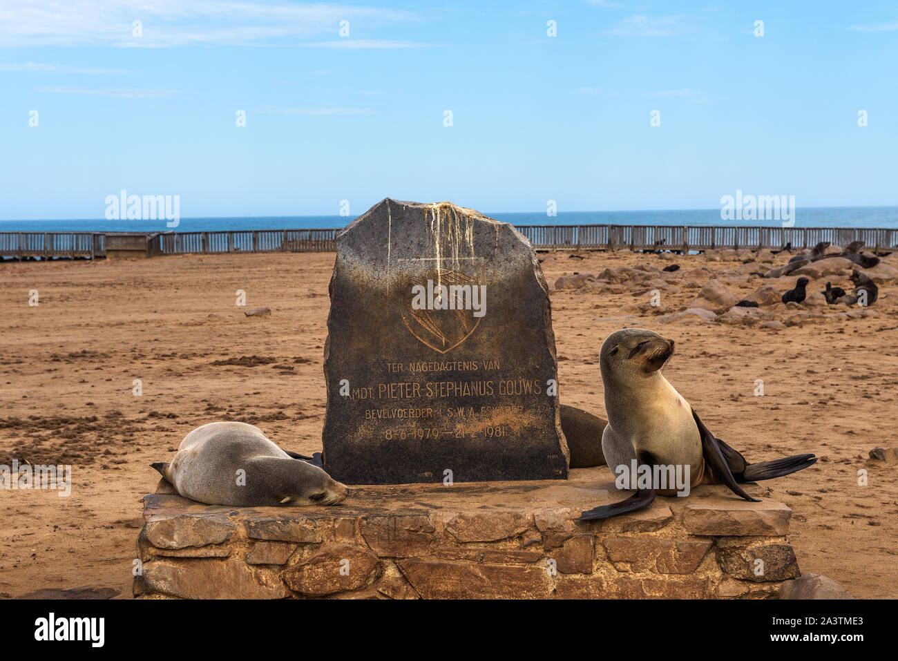 Dichtungen am Kreuzkap im Skeleton Coast, Namibia Stockfoto