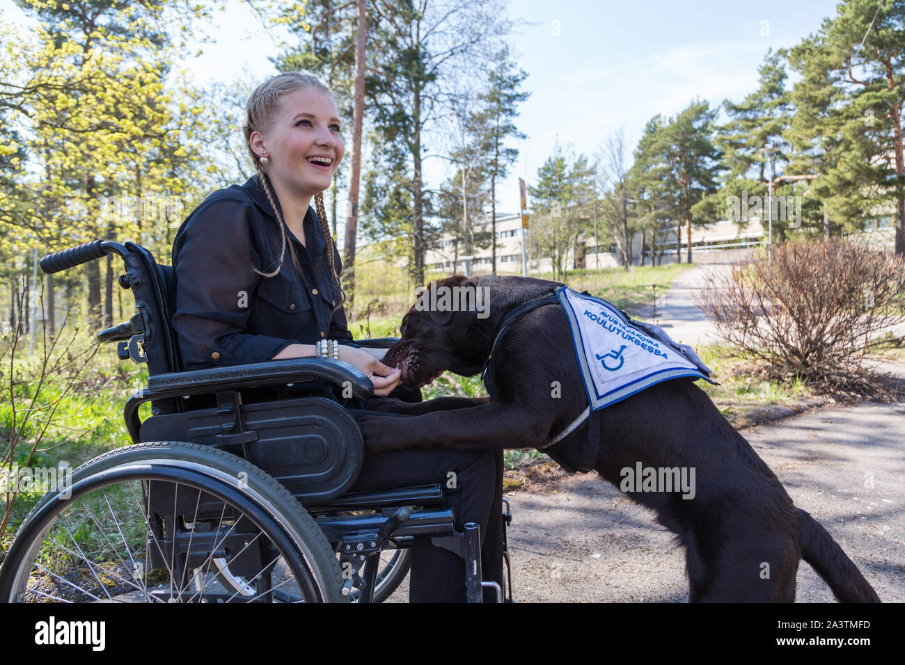 Junge behinderte Frau in einem Rollstuhl mit einem Blindenhund Stockfoto