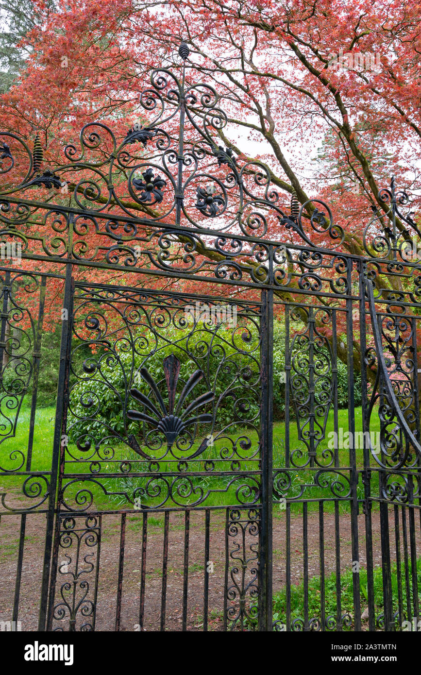 Ein Frühlingstag an Hergest Croft Gardens in der Nähe von Kington in Herefordshire, England. Stockfoto