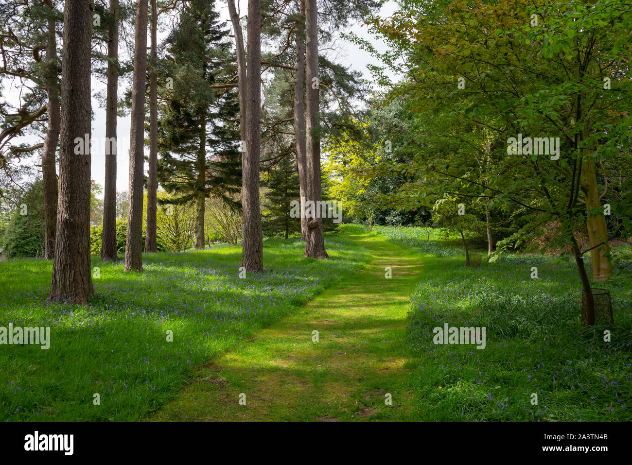 Ein Frühlingstag an Hergest Croft Gardens in der Nähe von Kington in Herefordshire, England. Stockfoto