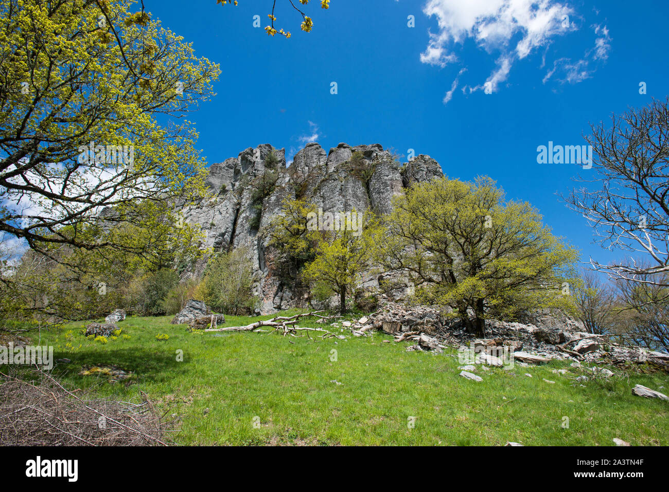 Bort-les-Orgues (Frankreich). Die Basaltsäulen geologischen Bereich, von erkaltete Lava Flow, registriert eine natürliche Zone der ökologischen interes Stockfoto