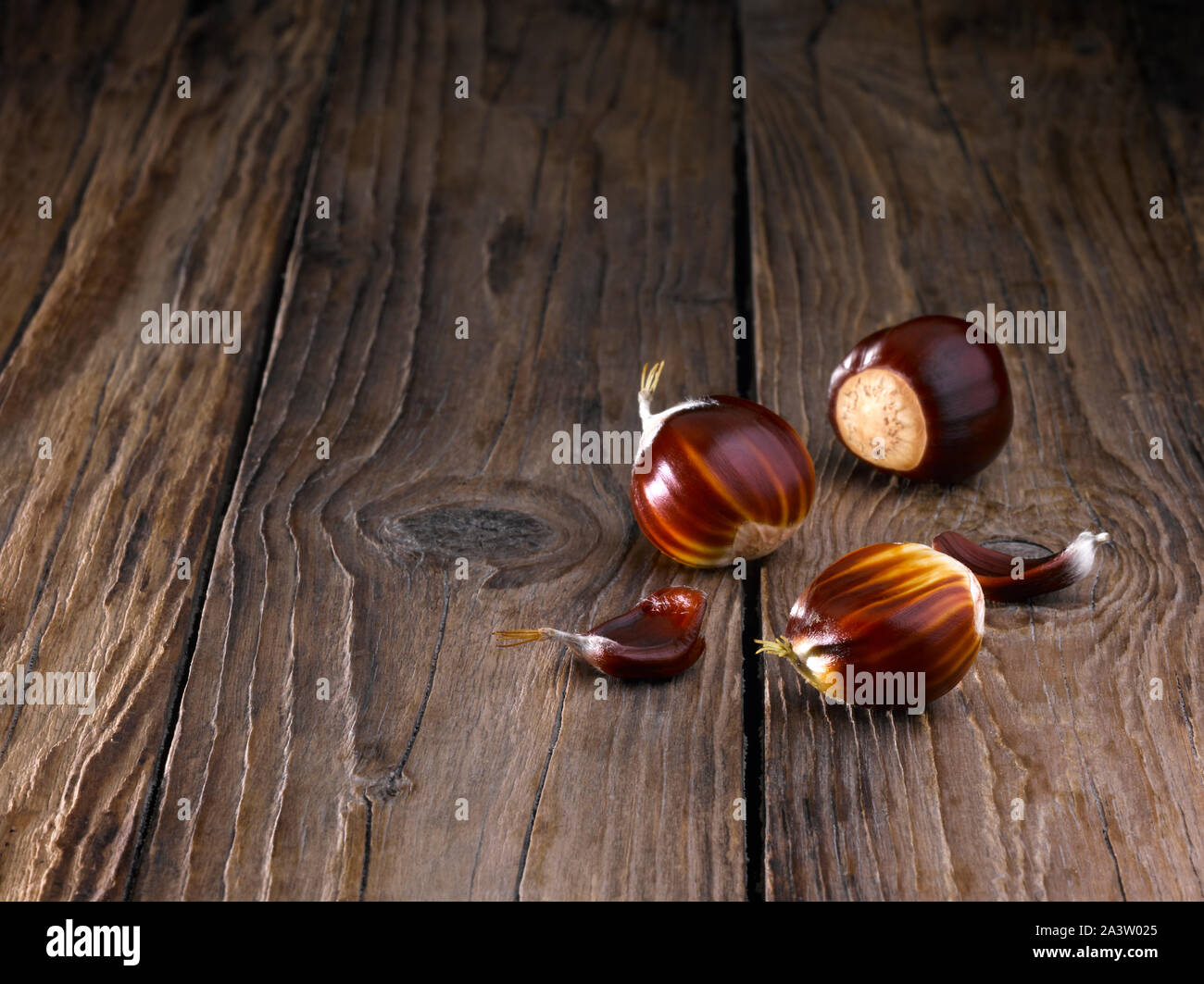 Edelkastanie Stockfoto