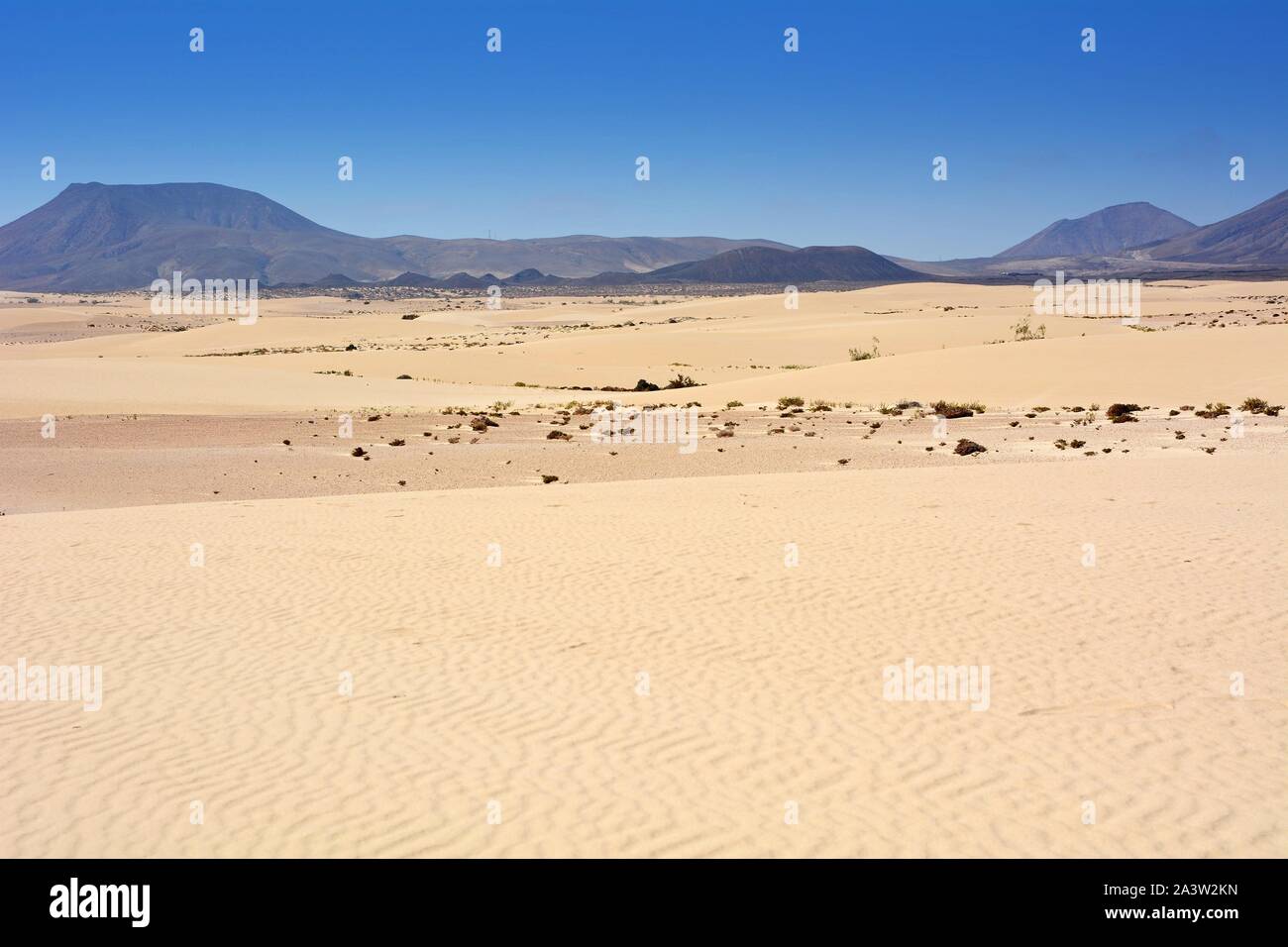 Goldenen Sanddünen im Parque Natural Corralejo im Nordosten der Insel Fuerteventura. Stockfoto