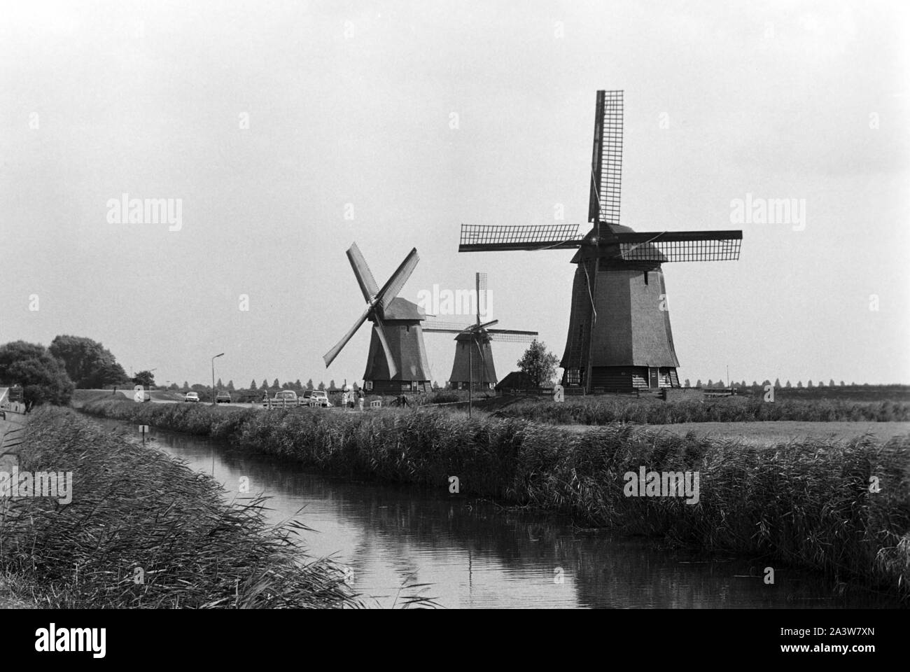 Makerische Landschaft mit Windmühlen in der Provinz Noord-Holland, Niederlande 1971. Die malerische Landschaft mit Windmühlen in der Provinz Noord Holland, Niederlande 1971. Stockfoto