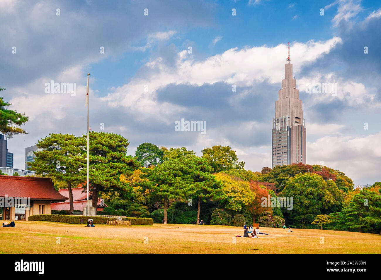 Natur und urbane, Umwelt in Tokio. Meiji Jingu öffentlichen Park im Herbst mit Shinjuku Hochhaus im Hintergrund Stockfoto