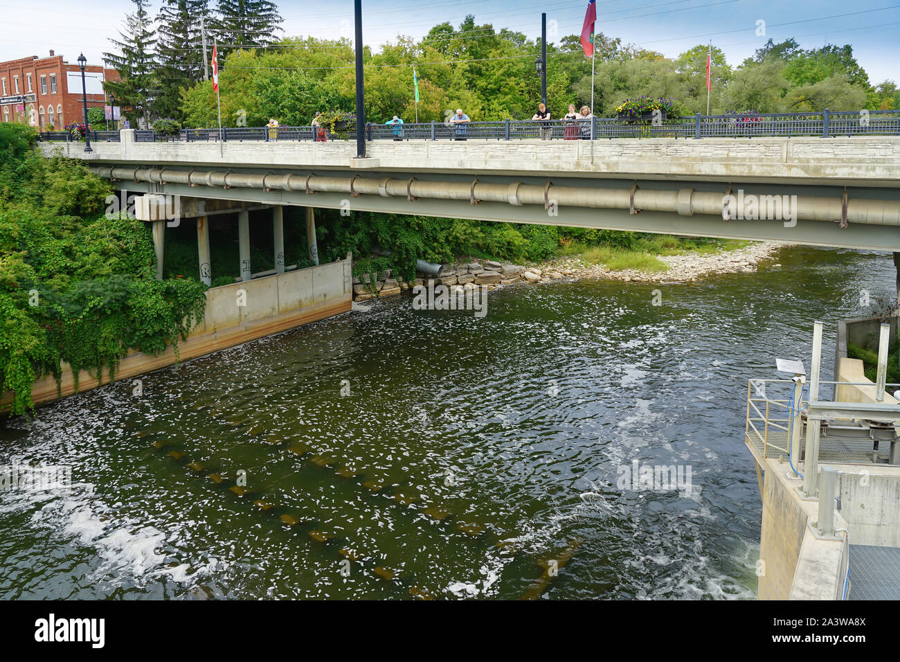 Marian und Stausee in Thornbury, Ontario, Kanada, Nordamerika Stockfoto
