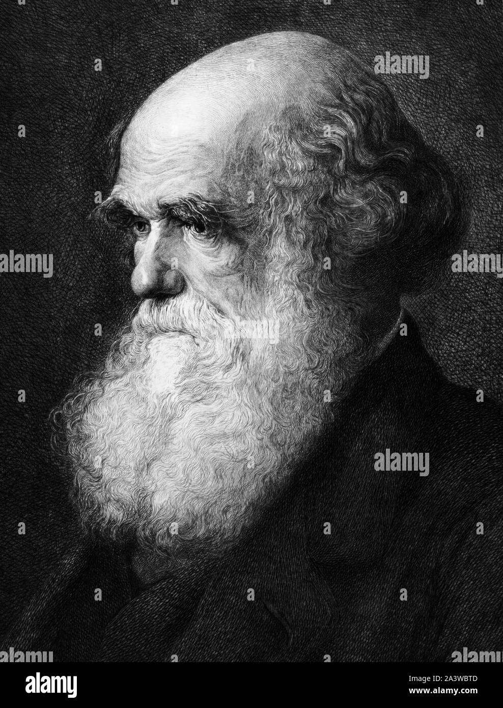 Jahrgang Porträt der englischen Naturforscher, Geologe und Biologe Charles Darwin (1809 - 1882), dessen berühmte Werke auf evolutionäre Theorie" Über die Entstehung der Arten" 1859 und "Die Abstammung des Menschen" im Jahre 1871. Ausschnitt aus einer Radierung ca. von Gustave Mercier 1890, auf der Grundlage einer Malerei 1875 von Walter William Ouless und von Robert Lindsay von Philadelphia veröffentlicht. Stockfoto