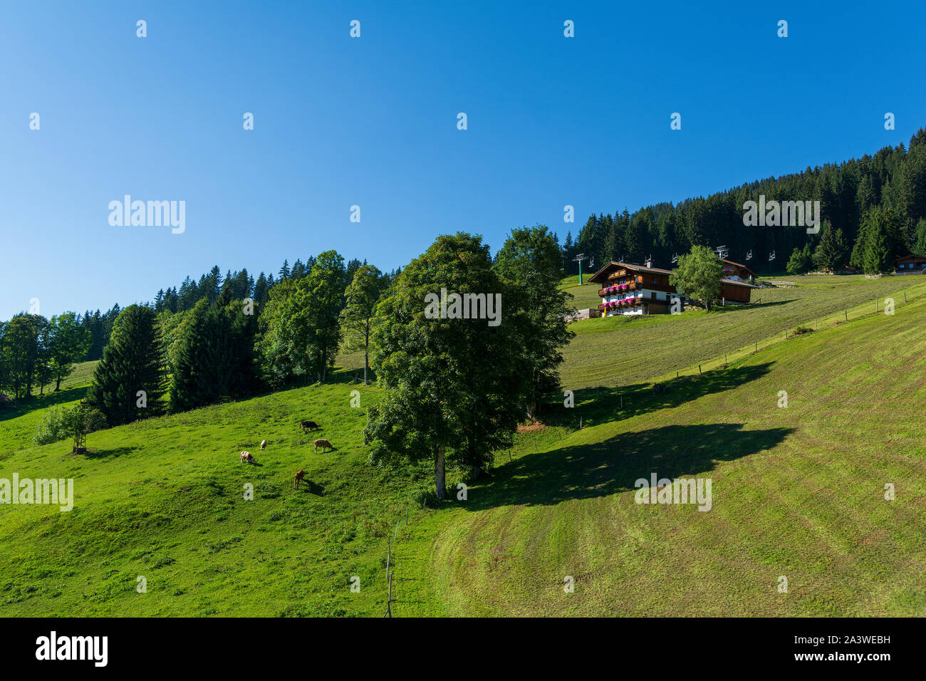 Wunderschöne Landschaft von der Hohen Salve, Teil der Kitzbüheler Alpen, Österreich Stockfoto