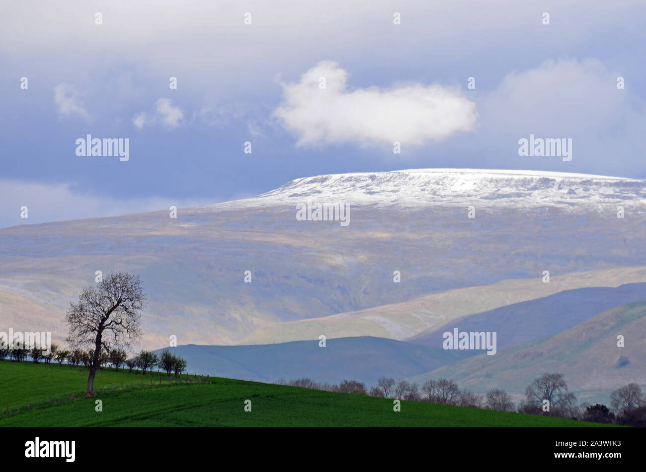 Kreuz fiel im Frühjahr, nördlichen Pennines Stockfoto