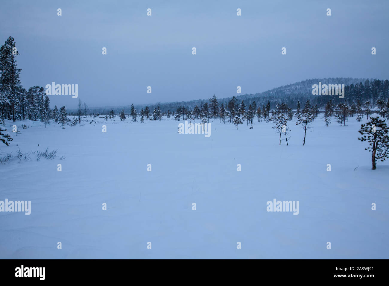 Kalte, schneereiche und öde arktischen Landschaft in der Nähe von Inari in Nordfinnland im Winter Stockfoto