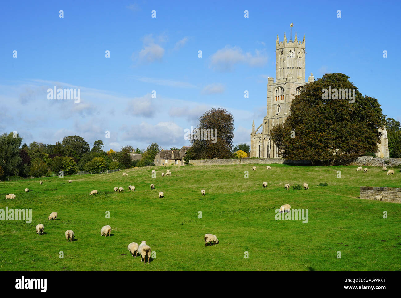 Schafe weiden auf den Wiesen am Fotheringhay Stockfoto