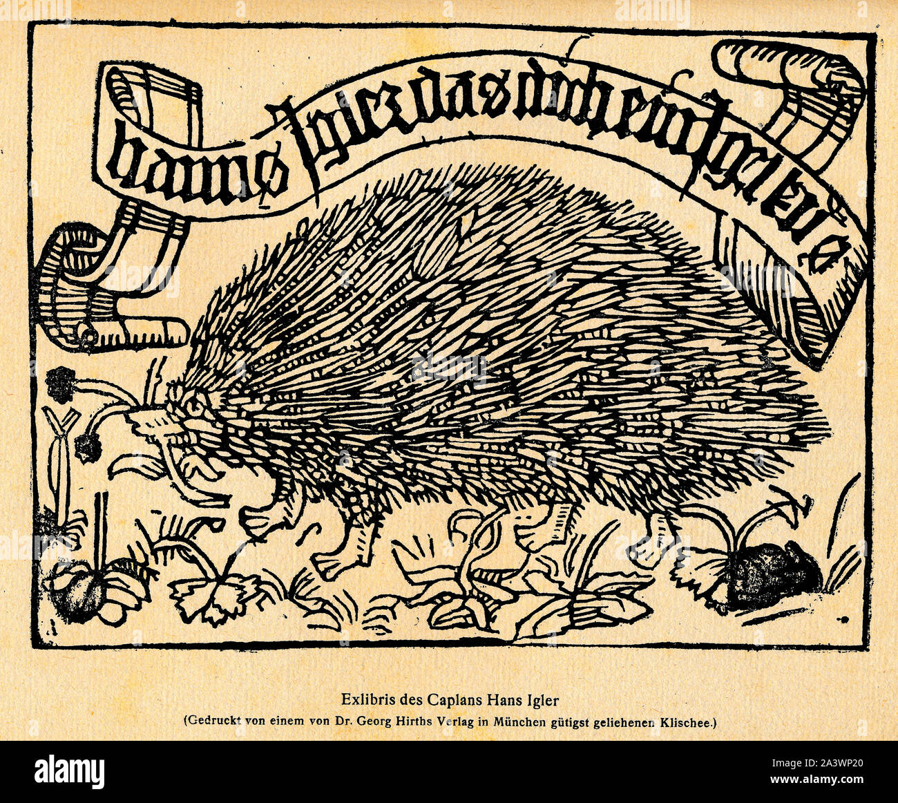 Exlibris Ex Libris Hans Igler Stockfoto