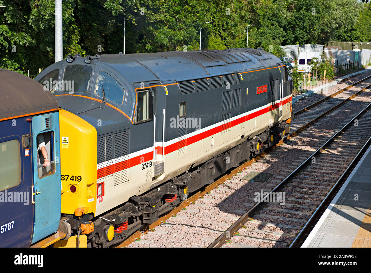 British Railways Class 37 Diesel Lokomotive Nr. 37419 auf der Rückseite einer personenzug von Lowestoft auf dem Wherry Linien in Norfolk, Großbritannien Stockfoto