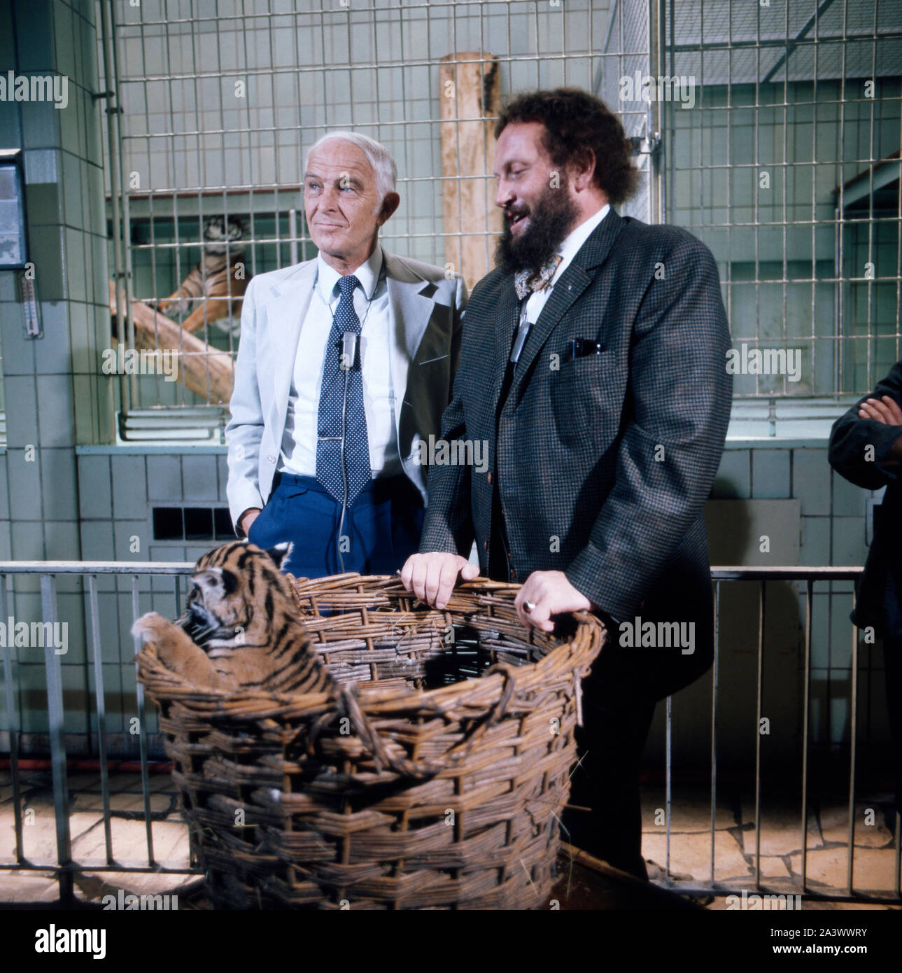 Der deutsche Bass Sänger Ivan Rebroff vor einem tierkäfig mit Tigerjungtieren und dem Tierfilmer Bernhard Grzimek, Deutschland um 1975. Deutsche bass Sänger Ivan Rebroff vor einem animalcage mit Tiger Cubs und der Tierfilmer Bernhard Grzimek, Deutschland um 1975. Stockfoto