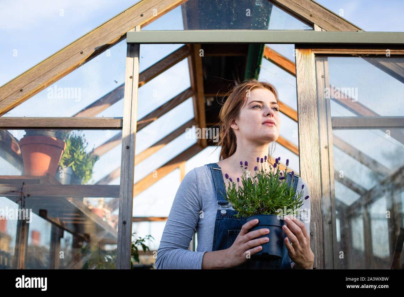 Junge erwachsene Frau halten Anlage durch Treibhausgasemissionen Stockfoto