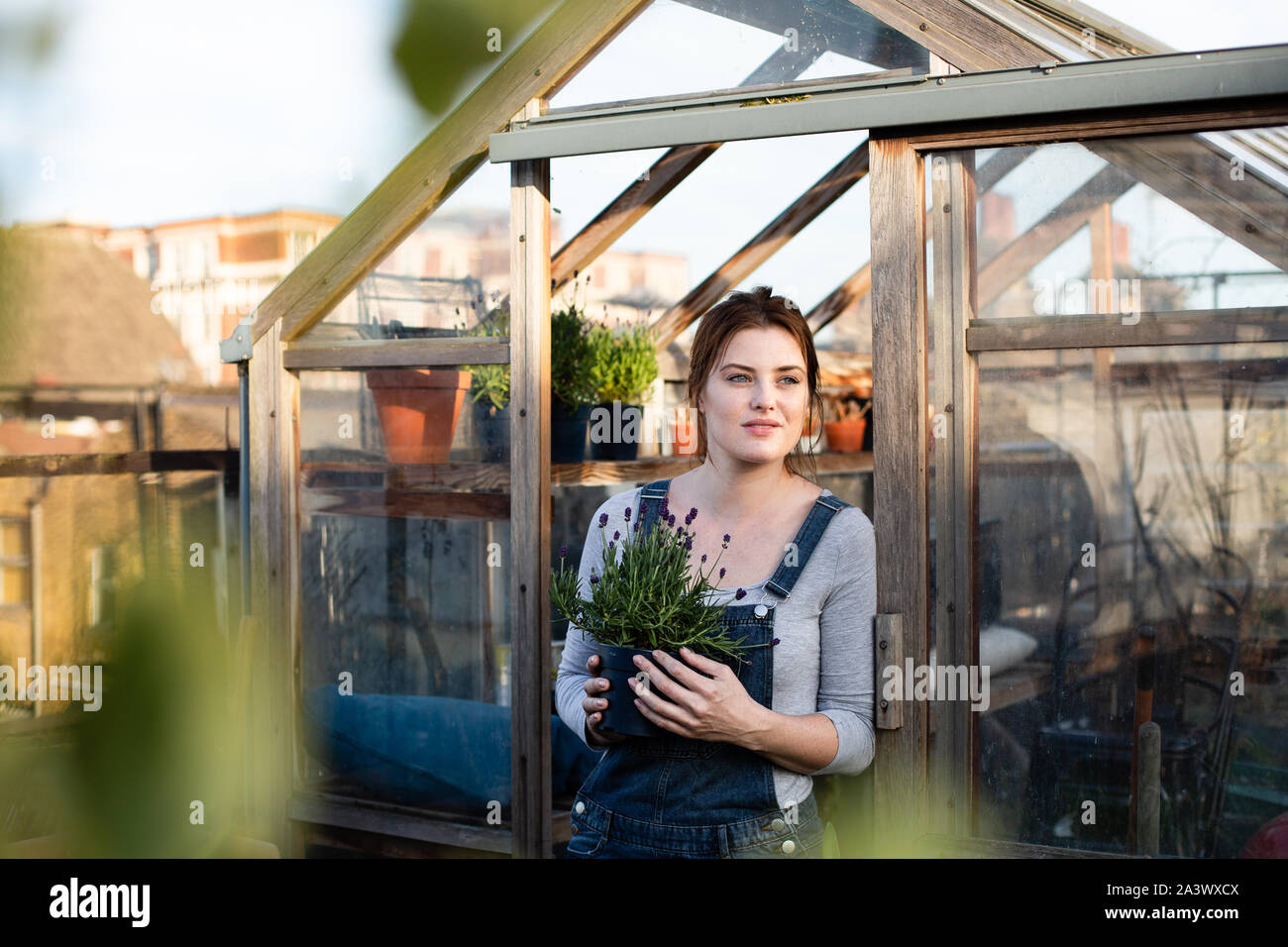 Junge erwachsene Frau halten Anlage durch Treibhausgasemissionen Stockfoto