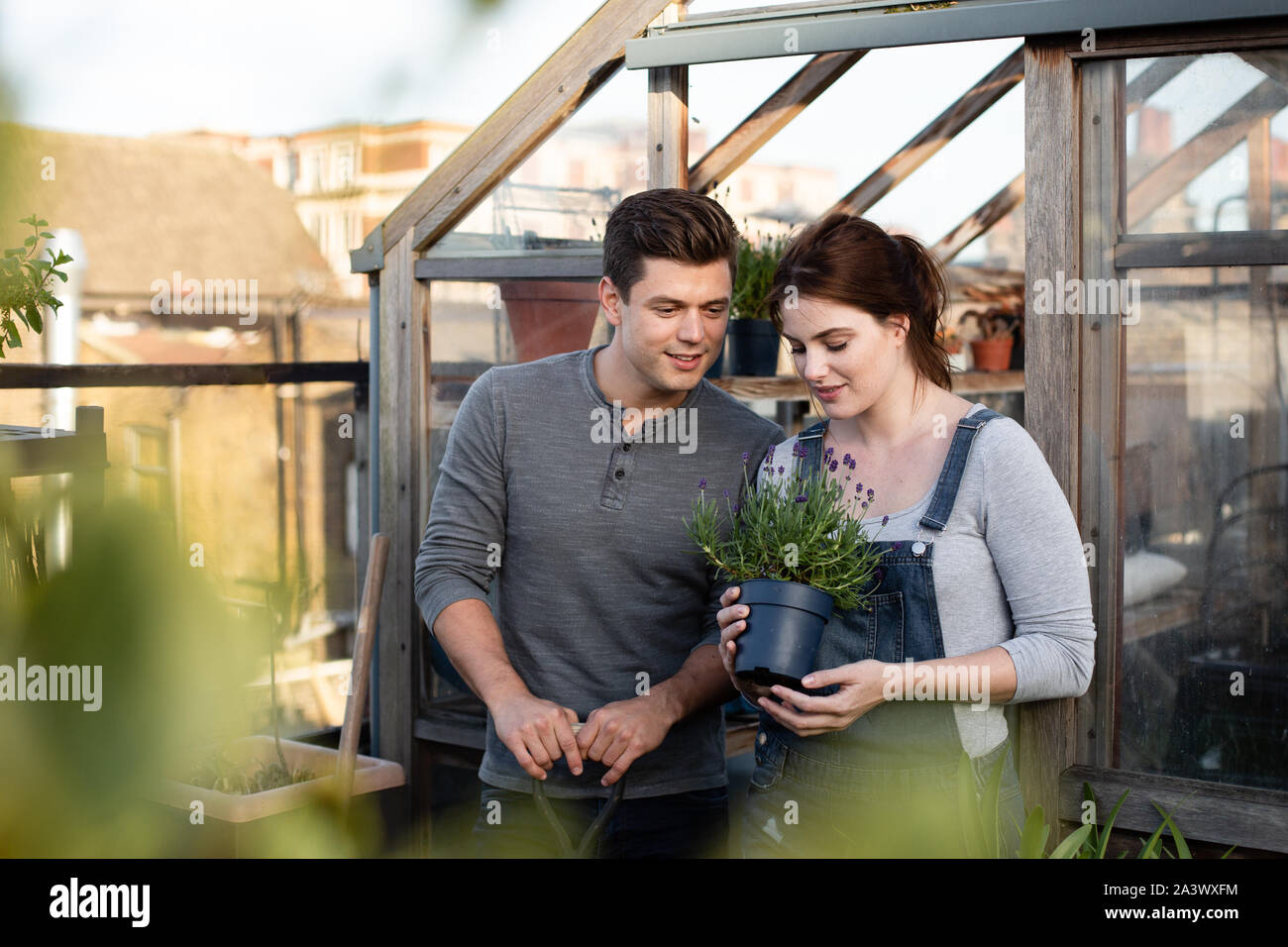Junge erwachsene Paare zusammen im Garten Stockfoto