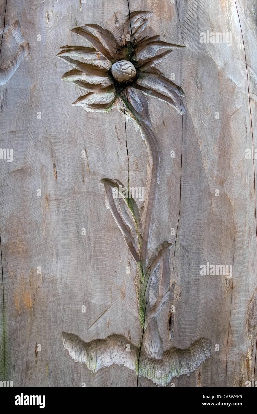 SAN PELLEGRINO, Lombardei/ITALIEN - 5. Oktober: Holzschnitzerei eines Edelweiss Blume in San Pellegrino Lombardei Italien am 5. Oktober, 2019 Stockfoto