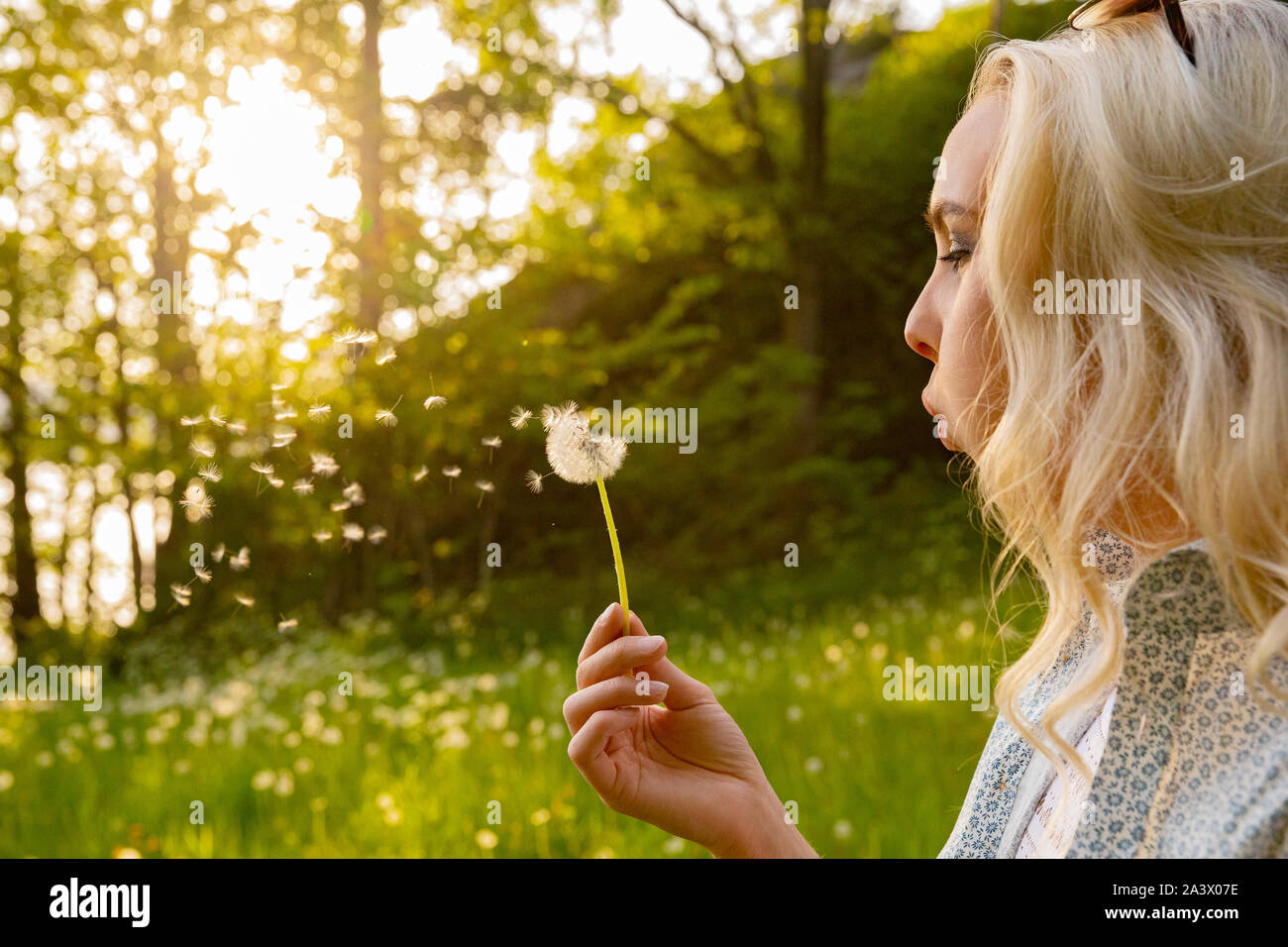 Nahaufnahme der jungen Frau bläst Löwenzahn Samen Stockfoto